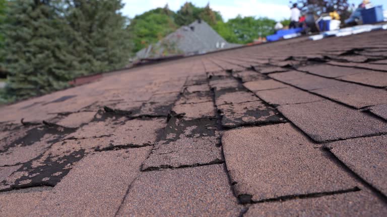 Best Roof Leak Repair  in Plandome, NY